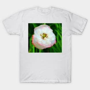 Poppy white flower photo T-Shirt